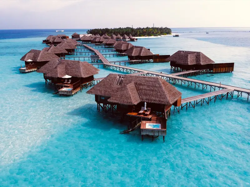 Maldives 
