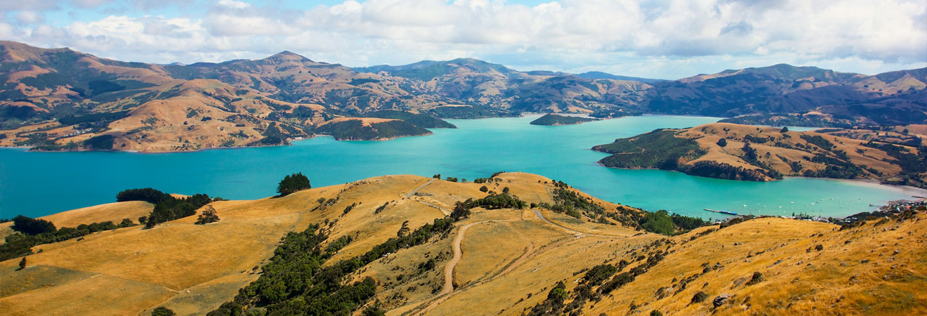 New Zealand Grand Discovery