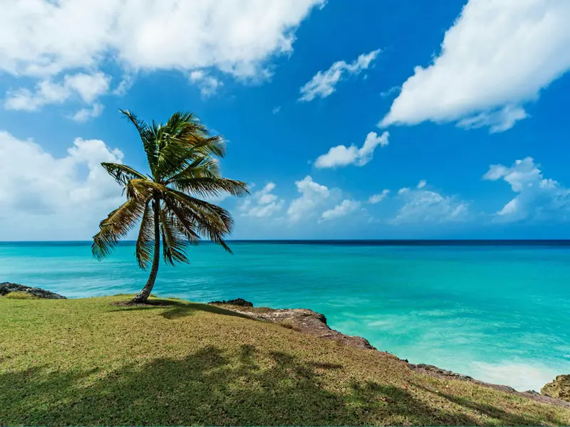 Barbados