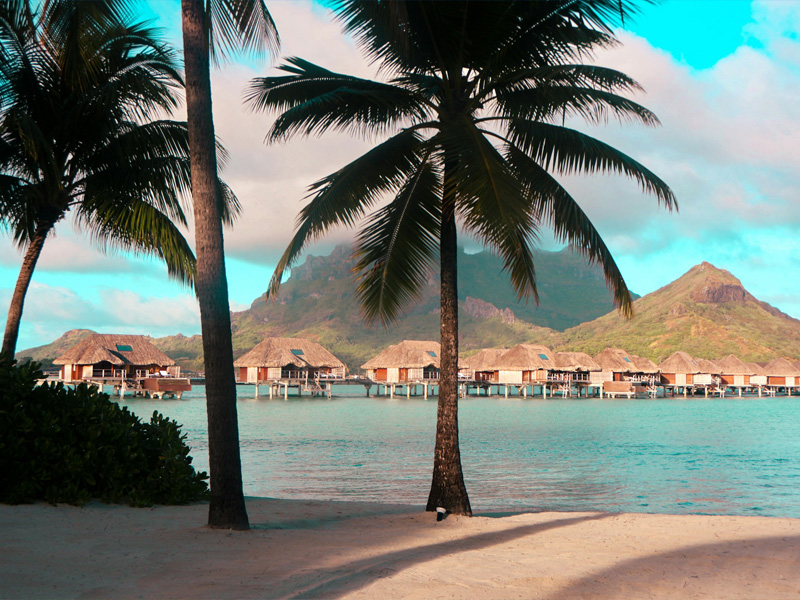 14 Nights & 15 Days || French Polynesia