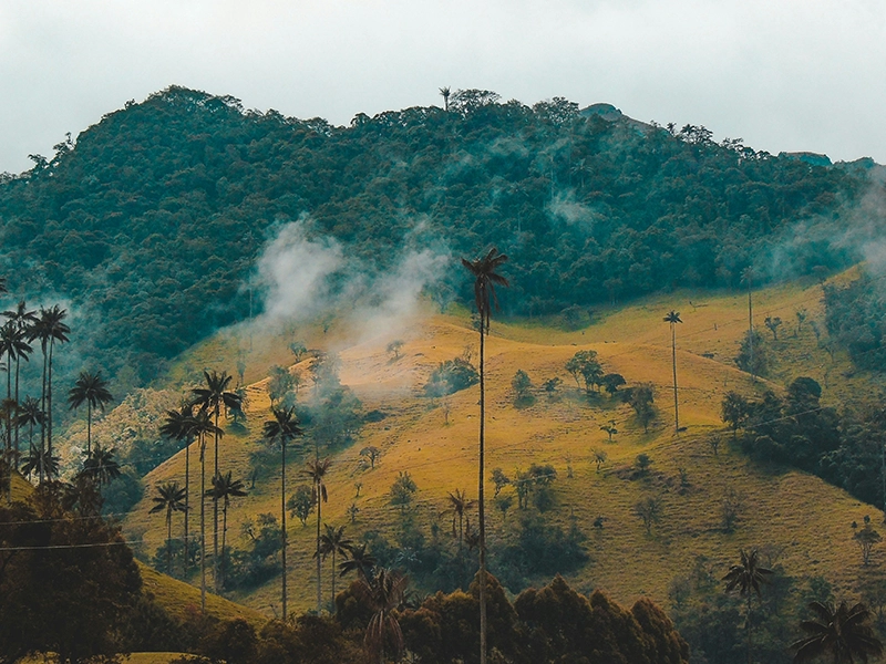 Colombia