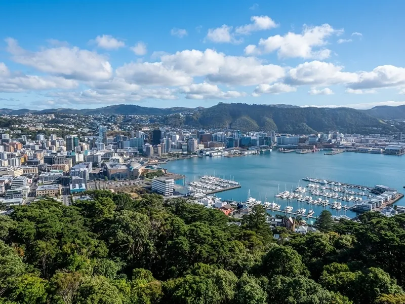 New Zealand Grand Discovery