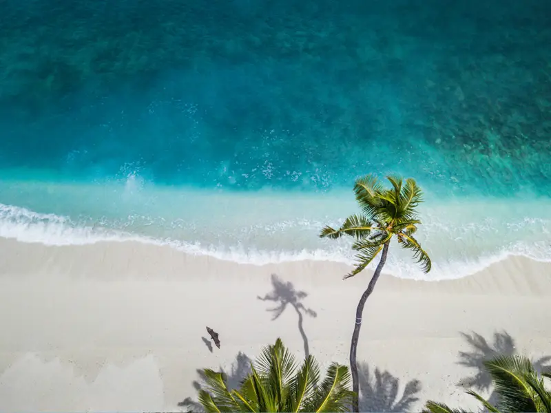 Maldives 