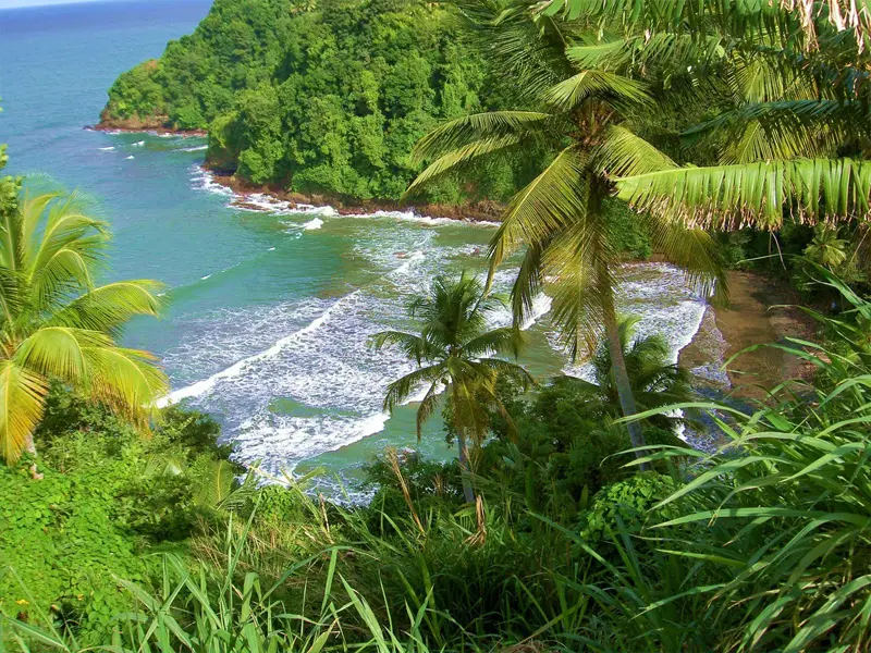 Dominica