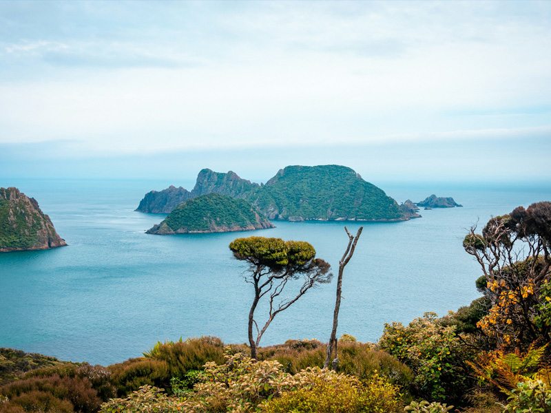 Ecuador & Galapagos
