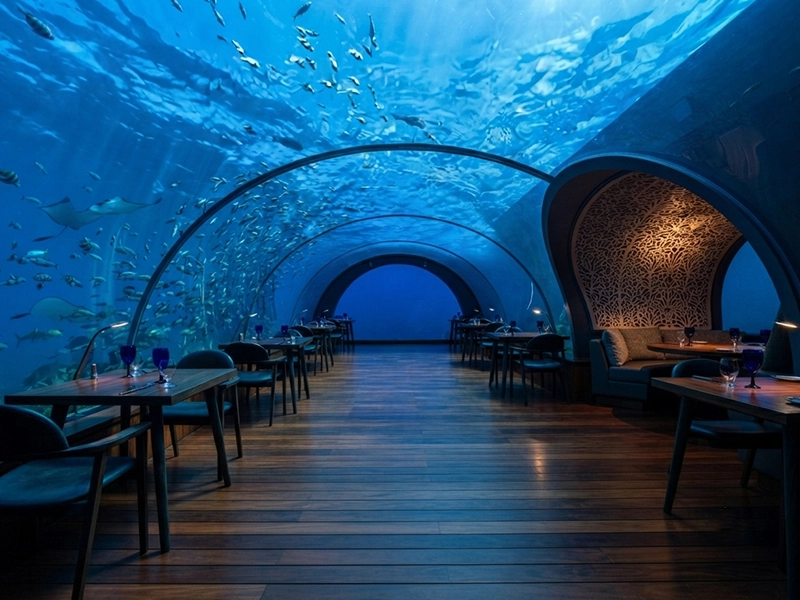 Maldives 