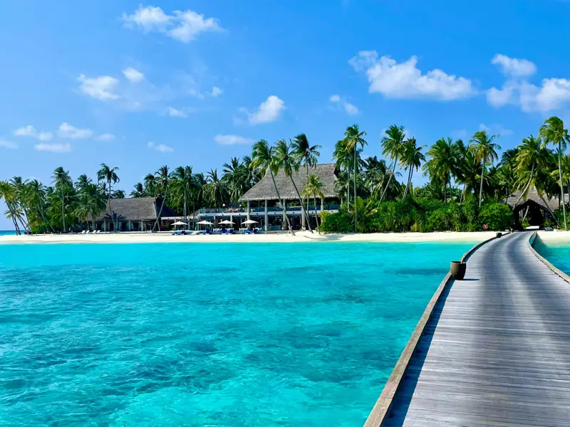 Maldives 