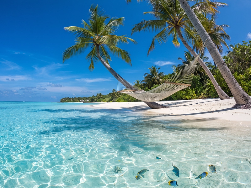 Jamaica
