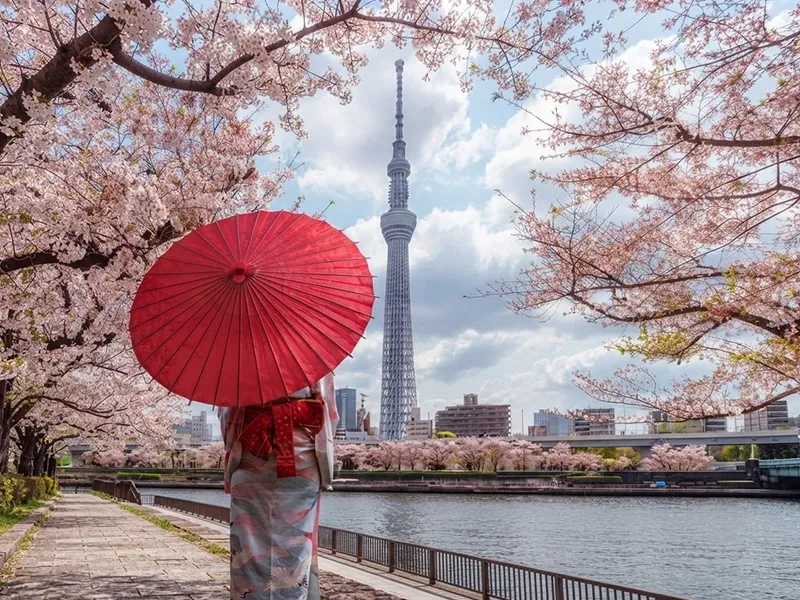 Japan