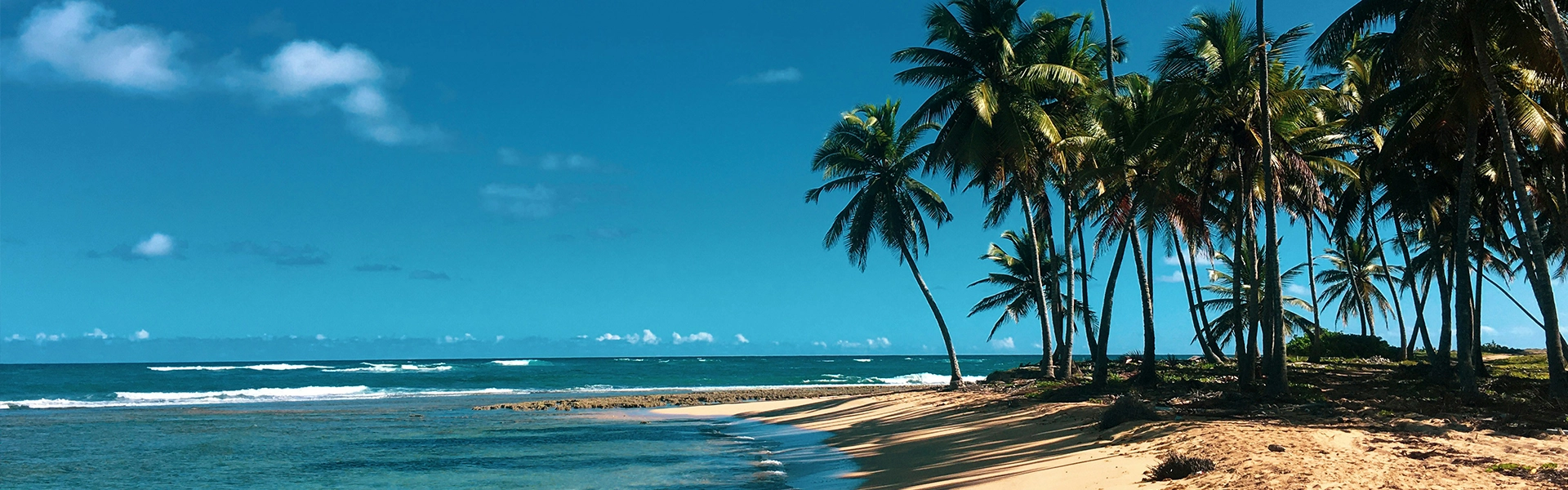 Dominican Republic Luxury All-Inclusive Escape