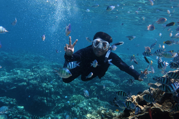 3 Point Snorkeling Safari