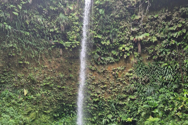 Spanny Falls