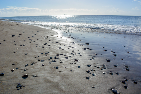 Mero Beach