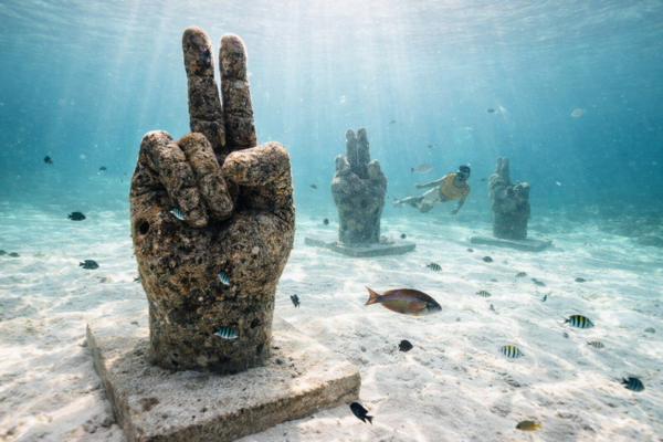 Shipwreck, Cenote & Reef Tour