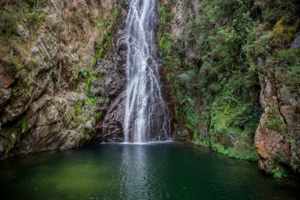 Syndicate Falls