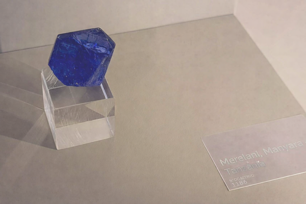 The Tanzanite Experience