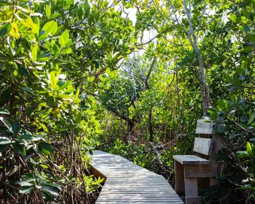 Lucayan National Park - Bahamas