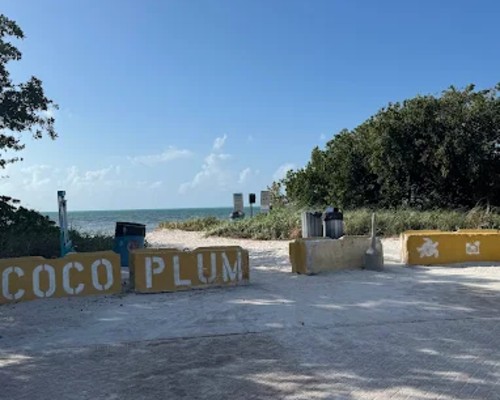 Coco Plum Beach - Bahamas