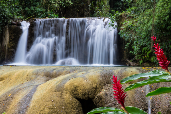 YS Falls