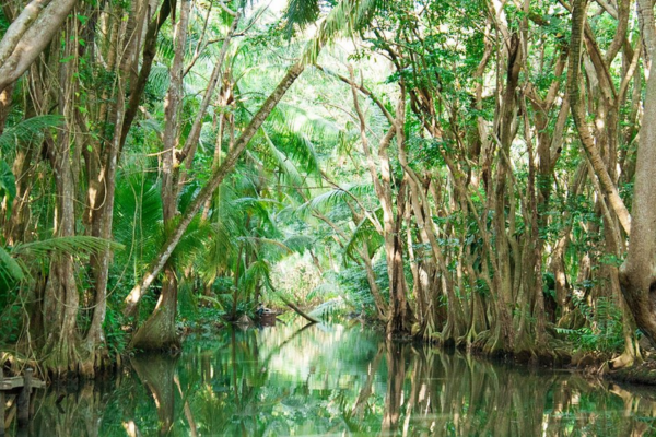 Indian River